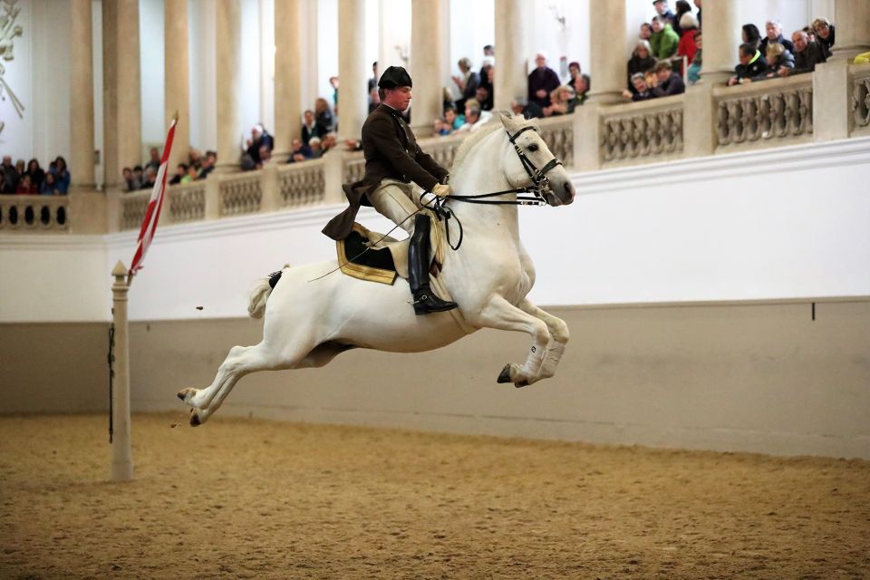 Performance Of The Lipizzans At Spanish Riding School - Key Points