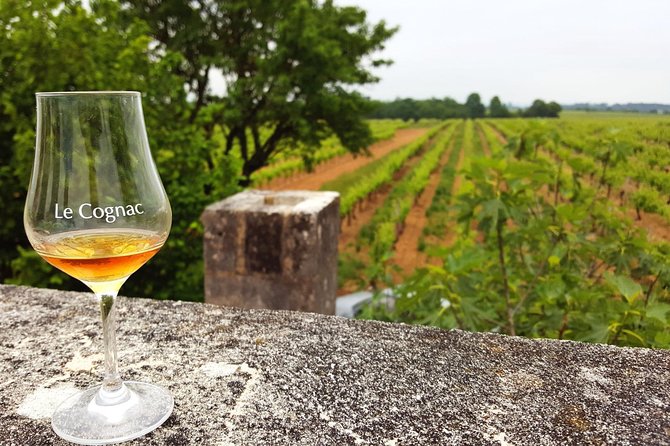Private Day-Tour From Cognac : Vineyard and Craft Distilleries With Tastings - Key Points