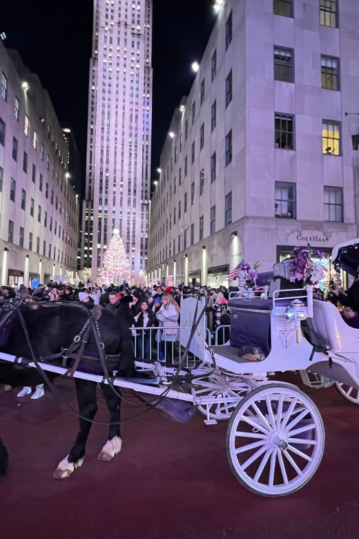 Private NYC Lights or Christmas Lights Horse Carriage Tour - Key Points