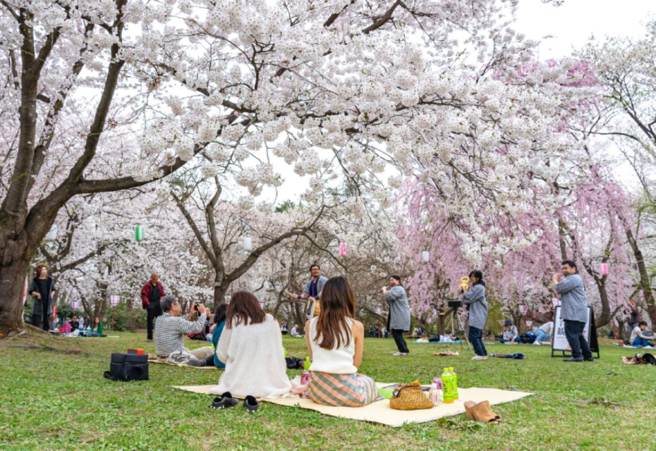 Private & Unique Kanazawa Cherry Blossom "Sakura" Experience - Key Points