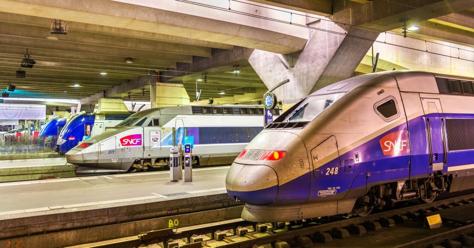 Railway or Bus Station: Private Transfer in Paris - Key Points