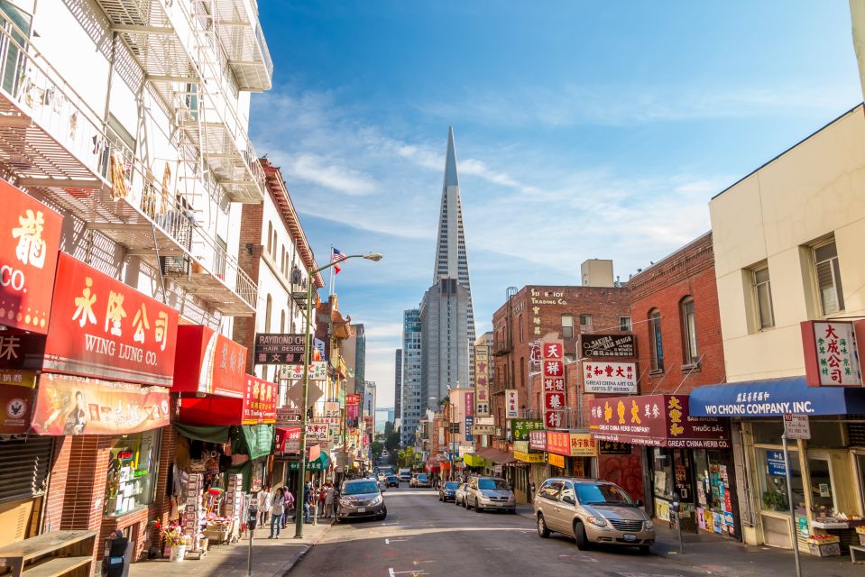 San Francisco: The Warrior Cat Chinatown City Game - Key Points