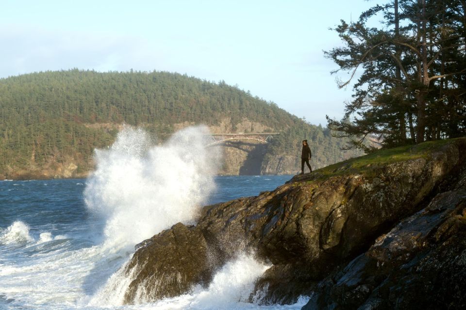 Seattle: Whidbey Island Deception Pass + Winter Birding Trip - Key Points