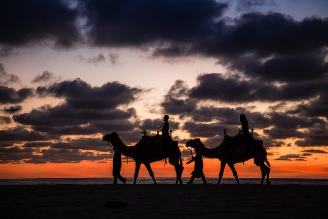 Sunset Beach Camel Ride With Mexican Buffet and Tequila Tasting - Key Points