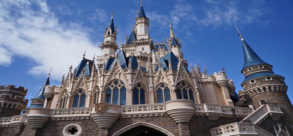Tokyo Disneyland: 1-Day Entry Ticket and Private Transfer - Key Points