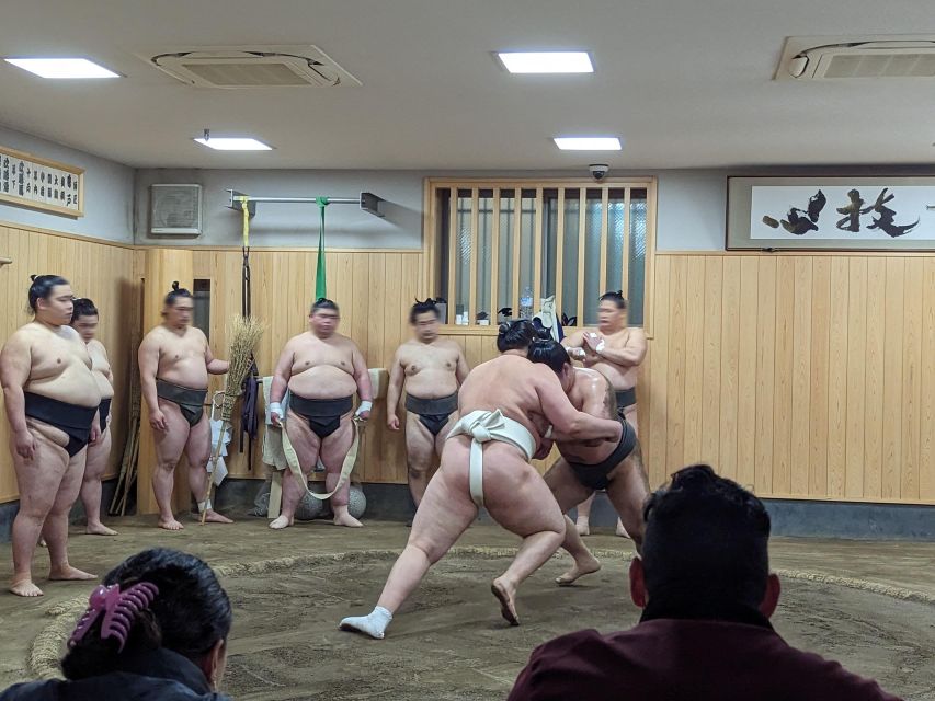 Tokyo: Morning Sumo Practice Viewing - Key Points