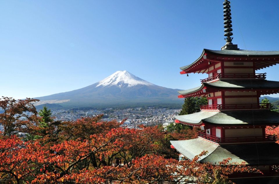 Tokyo: Private Sightseeing Day Trip to Mount Fuji and Hakone - Key Points