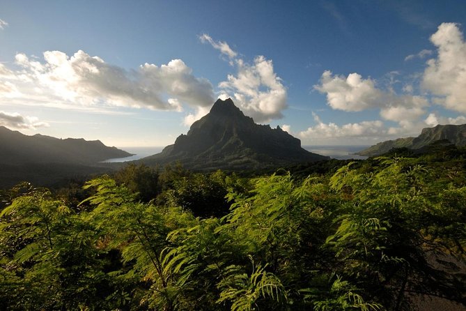 Tour of Moorea: the Most Beautiful Beaches! - Key Points