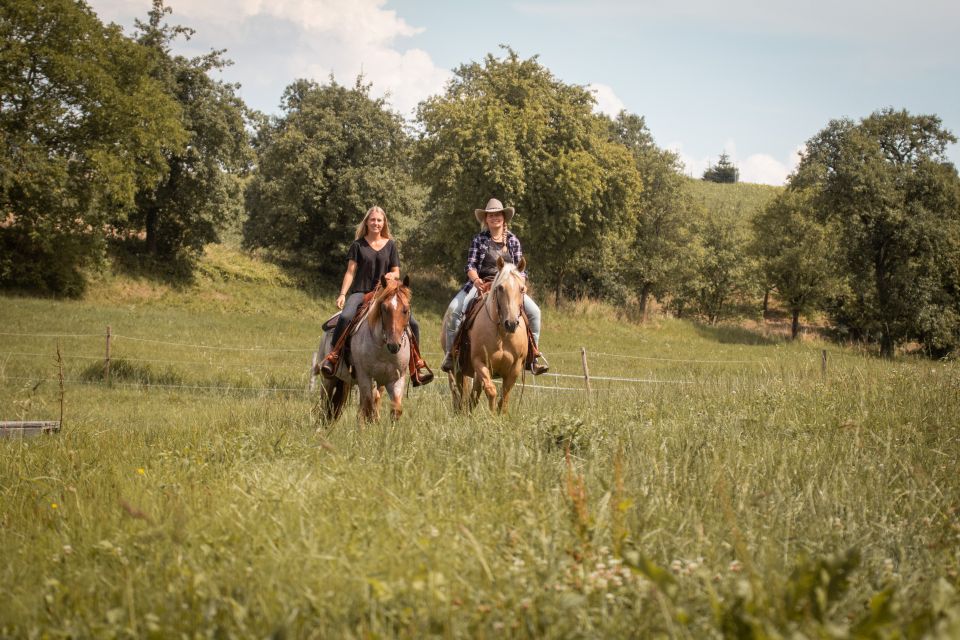 Upper Austria: Landscape, Forests, Meadows - Key Points