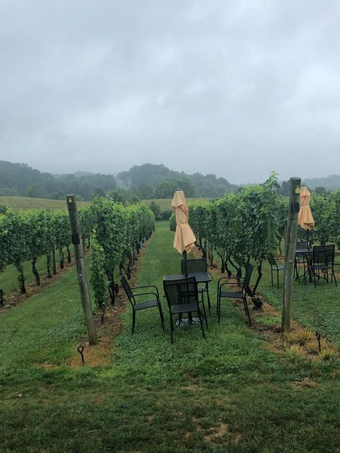 Washington DC: Winery Tour - Key Points