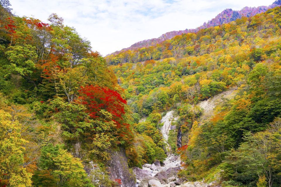 Welcome to Nagano: Private Tour With a Local - Tour Details