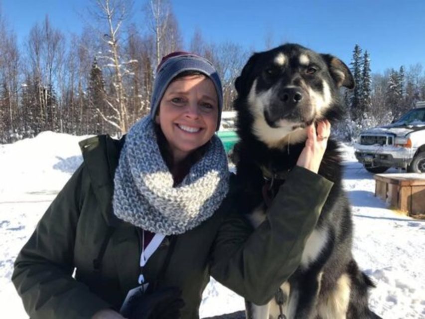 Willow: Traditional Alaskan Dog Sledding Ride - Key Points