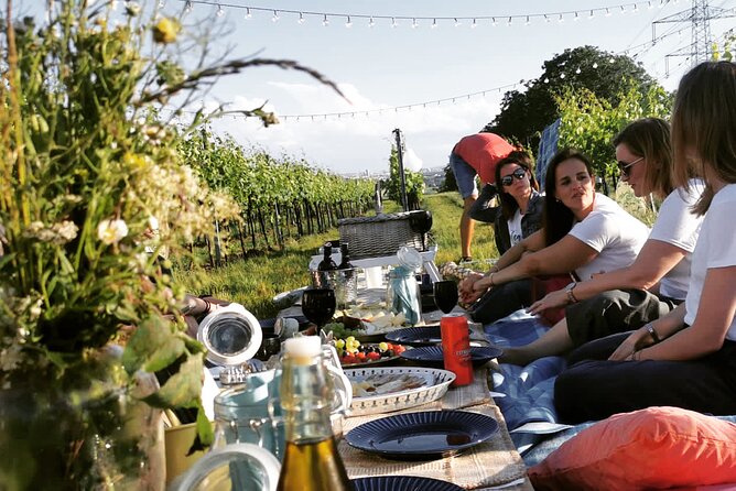 Wine Picnic Overlooking Vienna - Key Points