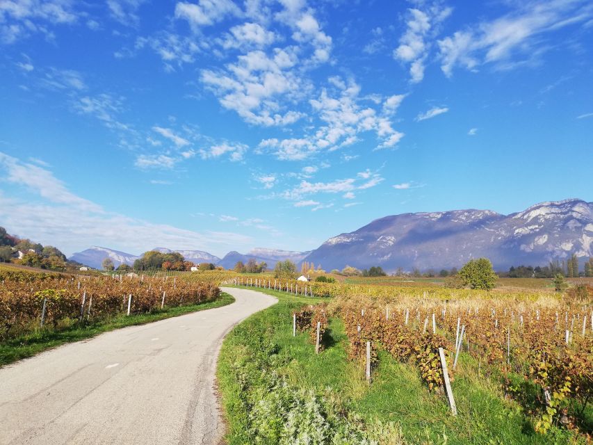 Wine Tour With Private Driver - Key Points