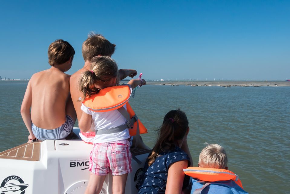 Zeebrugge: Seal Watching Boat Tour With Glass of Champagne - Key Points