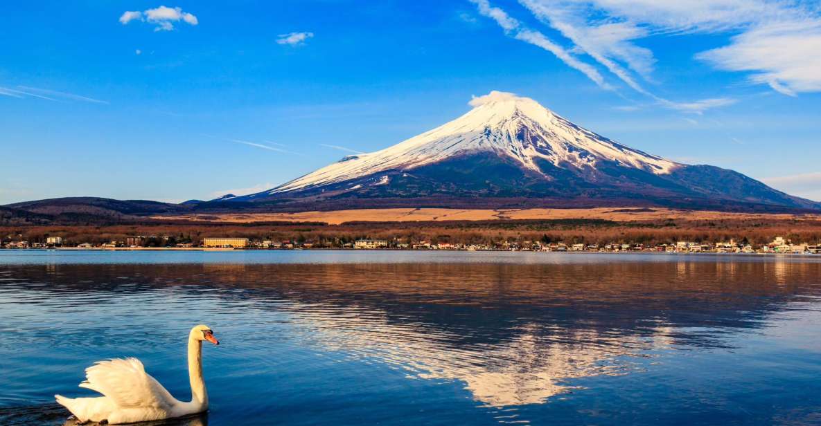 1-Day Trip: Mt Fuji Kawaguchi Lake Area - Key Points