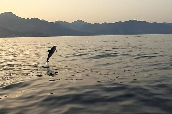 2.5 Hours Sunset Tour With Aperitif in Search of Dolphins