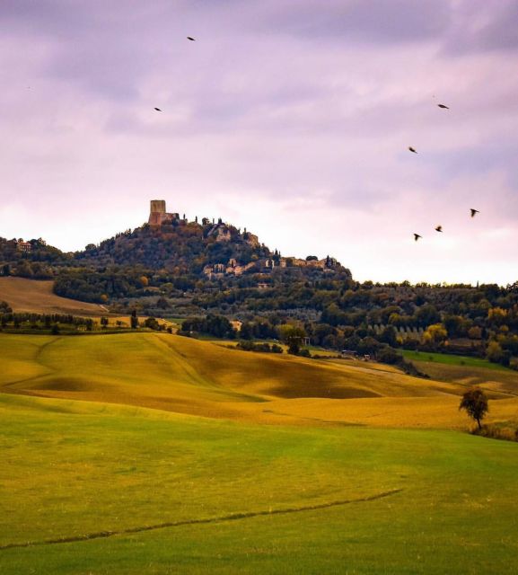 3-Hour Private Dinner in a Medieval Tower in San Gimignano - Location and Provider Information