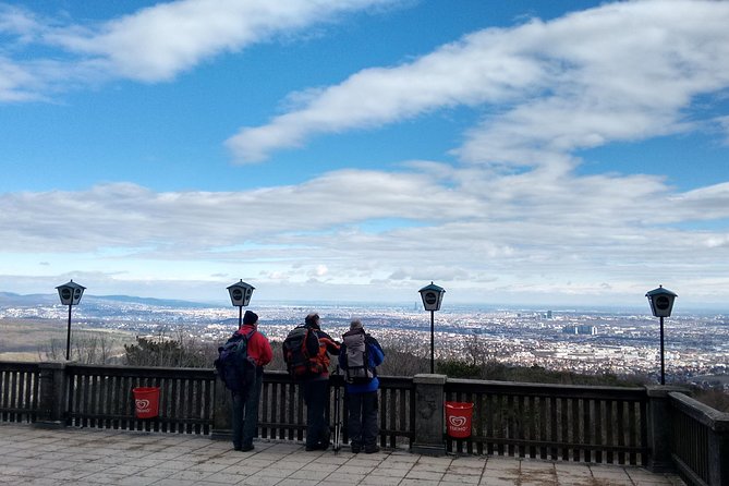 3-Hour Private Hiking Tour Over Parapluie Mountain With a View of Vienna