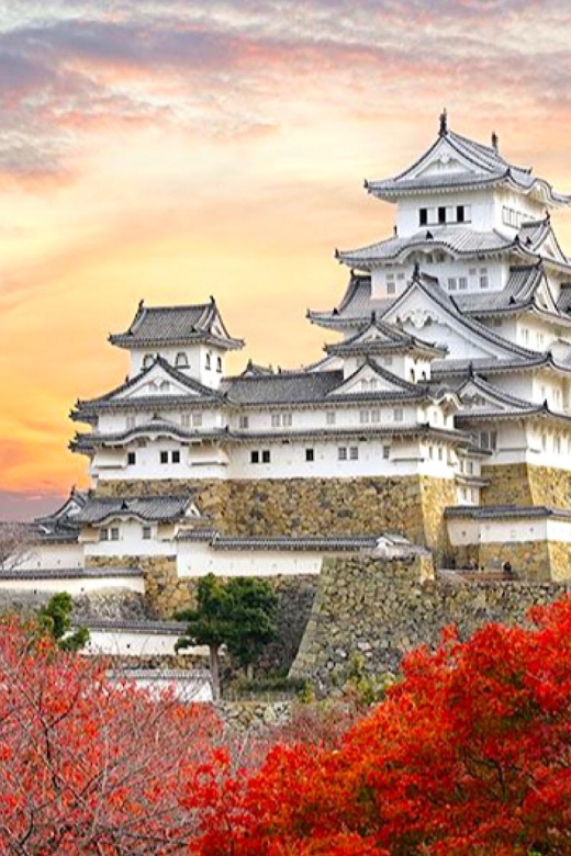 4-Day Private Kyoto Osaka Nara Sightseeing Tour With Guide