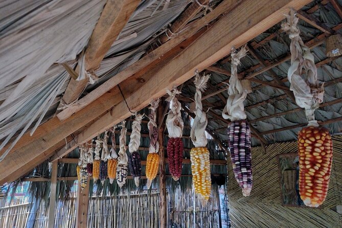 A Day in the Life of a Zapotec Village - Cultural Immersion Experience