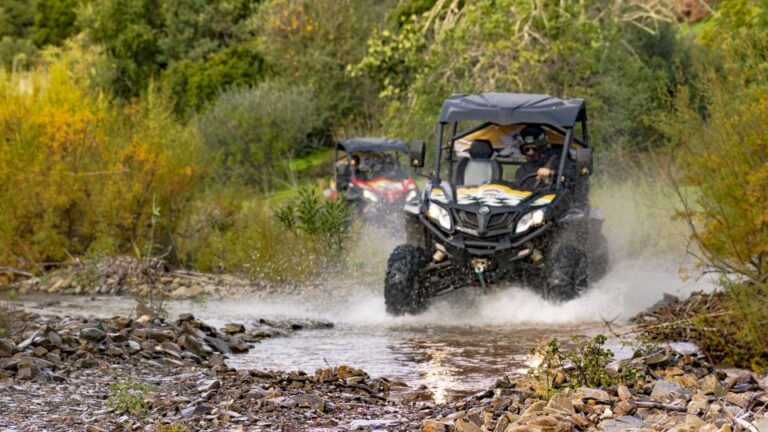 Albufeira: Full Day Off-Road Buggy Tour With Lunch & Guide