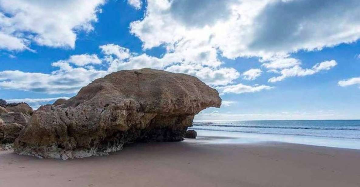 Algarve Coastline & Beaches Land Tour -Private Tour - Tour Details