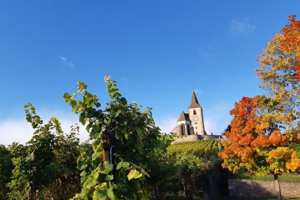 Alsace: Half-Day Wine Tour From Colmar - Tour Overview