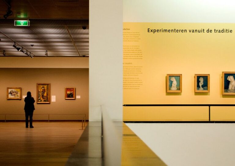 Amsterdam: Van Gogh Museum Guided Tour With Entry Ticket