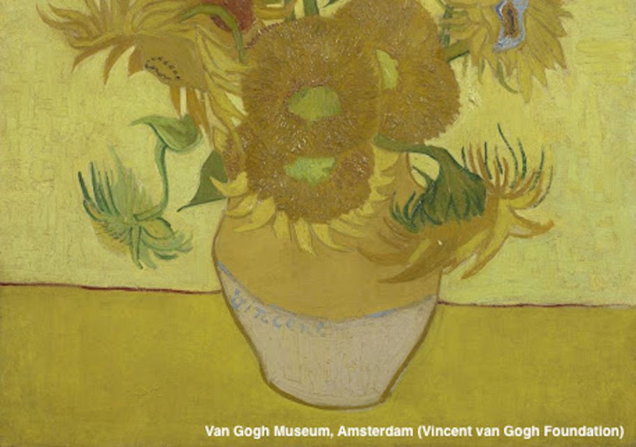 Amsterdam: Van Gogh Museum Guided Tour With Entry - Booking Details and Flexibility