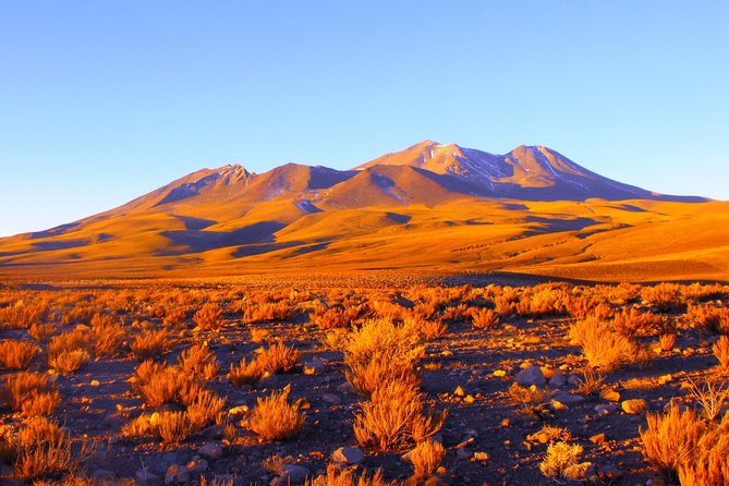 Atacama Salt Flat & Piedras Rojas Tour From San Pedro De Atacama - Tour Experience