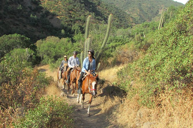 Authentic Horseback Ride With Chilean Cowboys in the Andes Close to Santiago! - Tour Details and Booking Information