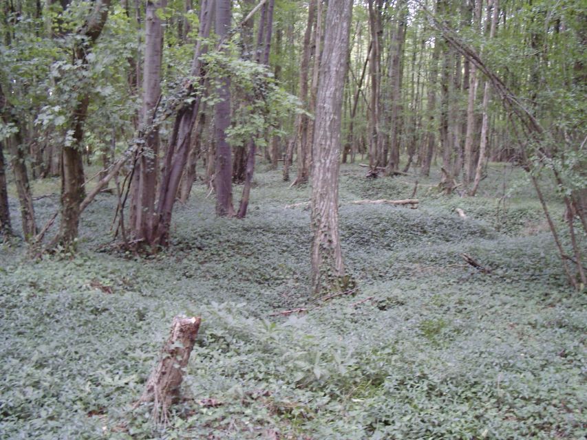 Battle of Cantigny: First American Offensive WWI From Amiens - Tour Details