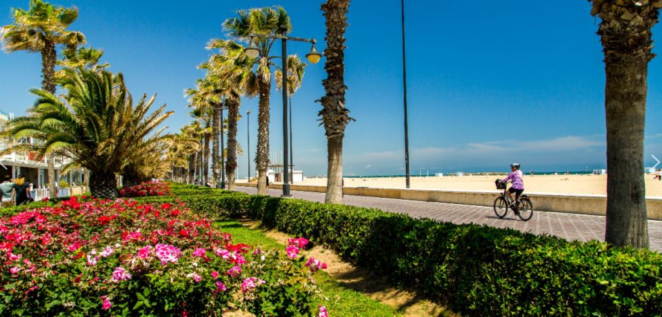 Best of Valencia: Highlights With Private Transport and Top - Tour Details