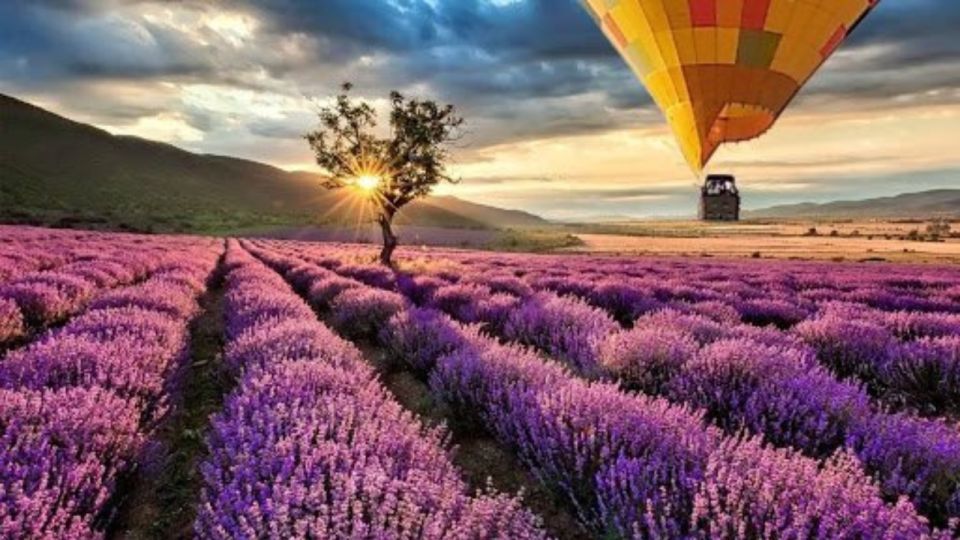 Brihuega: Balloon Flight Above Lavender Fields - Activity Details