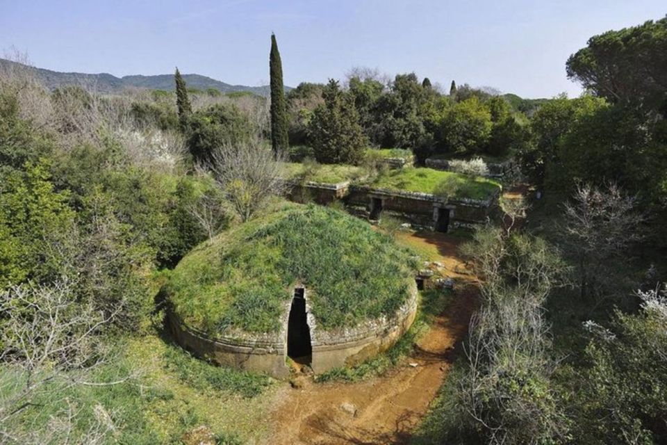 Cerveteri - the Etruscan Necropolis Private Tour From Rome - Tour Inclusions and Exclusions