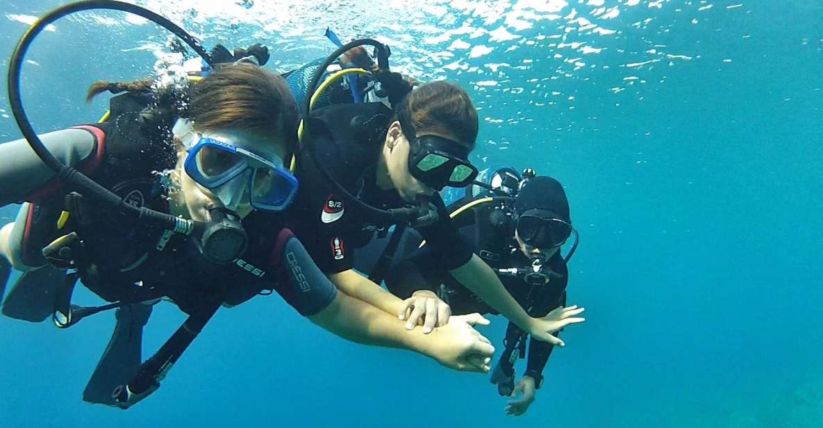 Chalkidiki: Scuba Diving for Beginners in Kassandra - Scuba Diving Experience in Kassandra