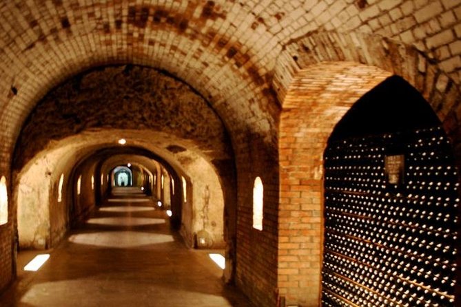 Champagne VIP Day Trip From Paris With Local PRIVATE Wine Expert Guide - Customer Reviews and Recommendations