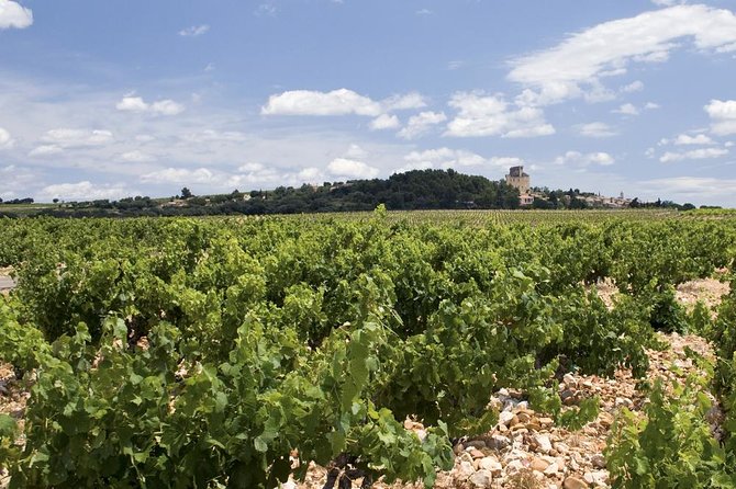 Chateauneuf-Du-Pape Prestige Wine Tour From Avignon