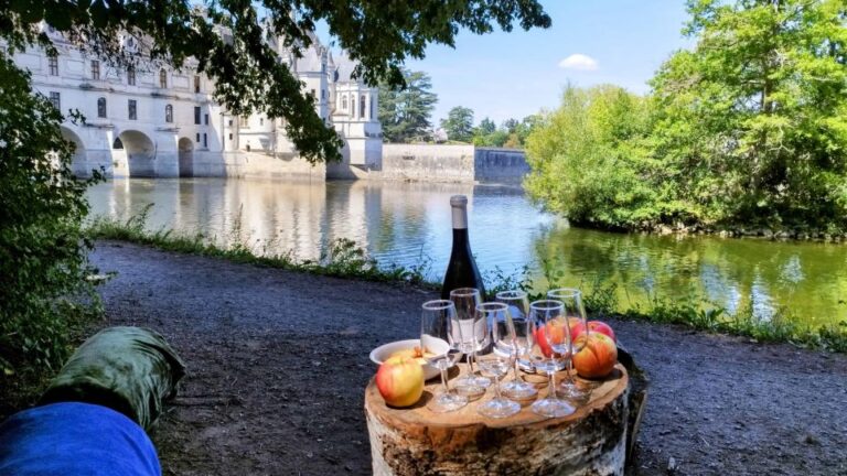 Chenonceau: Guided Ebike Ride and Wine & Cheese Picnic Lunch