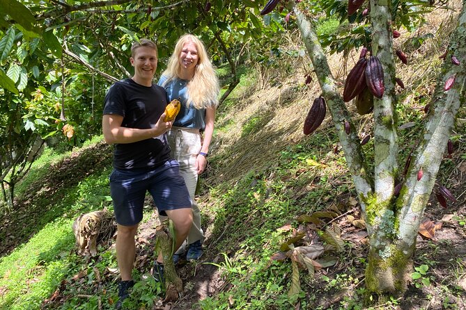 Chocolate Tour Near Medellin - Tour Pricing and Booking Details