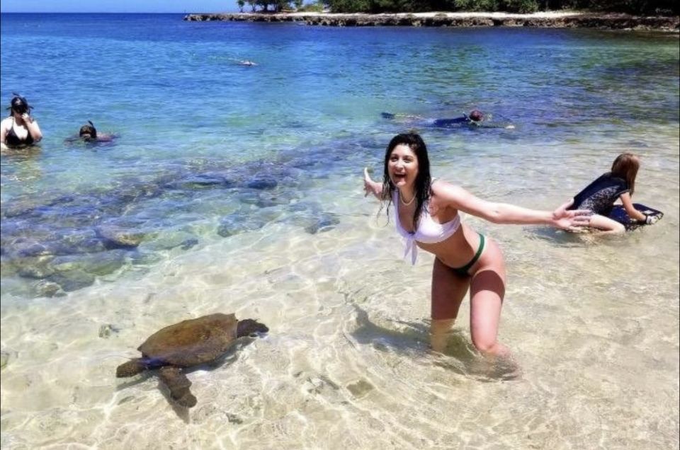 Circle Island: Swim With Turtles And Explore Paradise Oahu - Customer Experience
