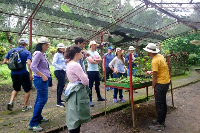 Coffee Tour in Hacienda Coloma in Fusagasugá From Bogotá (Private Tour) - Tour Itinerary Highlights