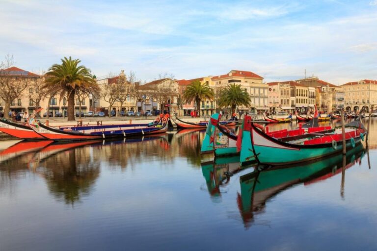 Coimbra & Aveiro Amazing Cultural Full Day Tour From Porto