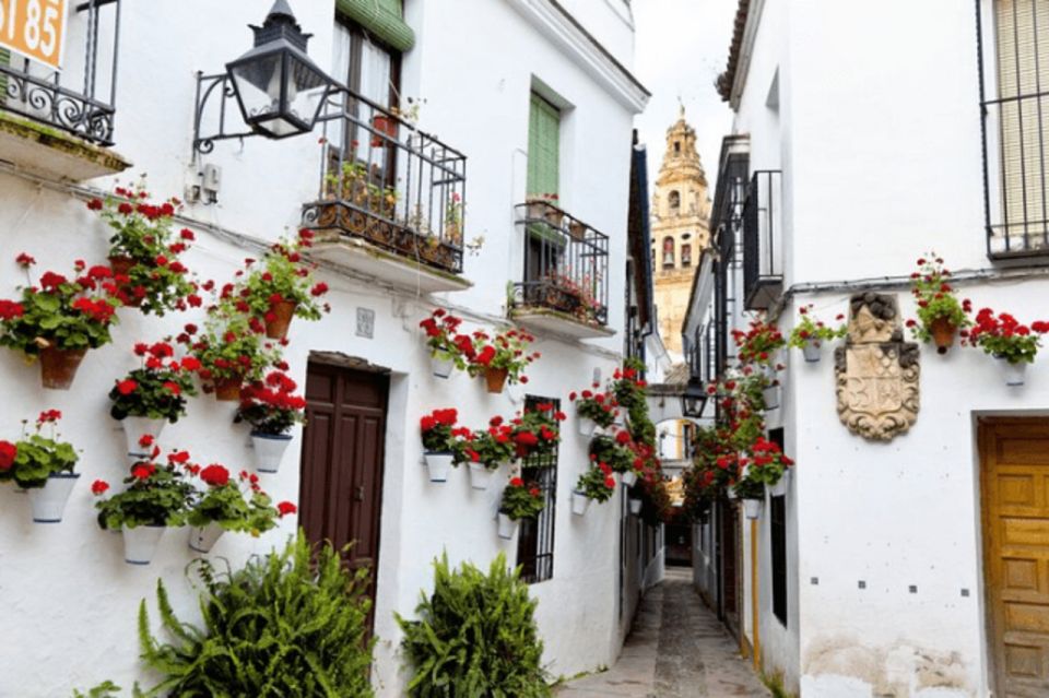 Córdoba Private Day Trip From Sevilla - Trip Details