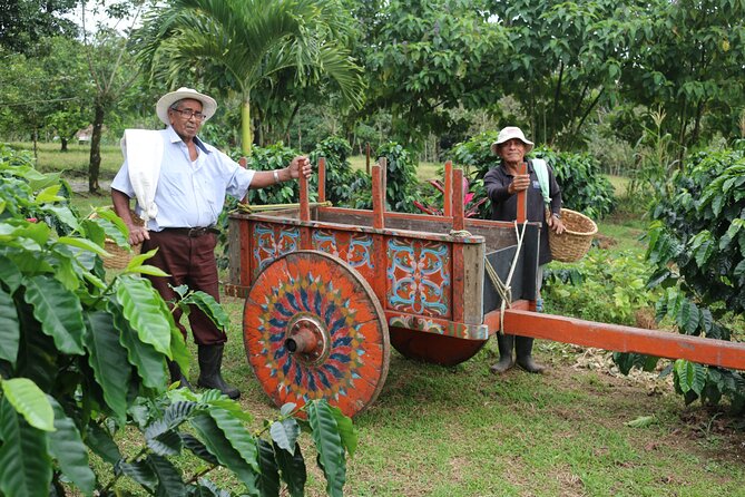Craft Specialty Coffee and Chocolate Tour at North Fields, La Fortuna Costa Rica - Tour Inclusions