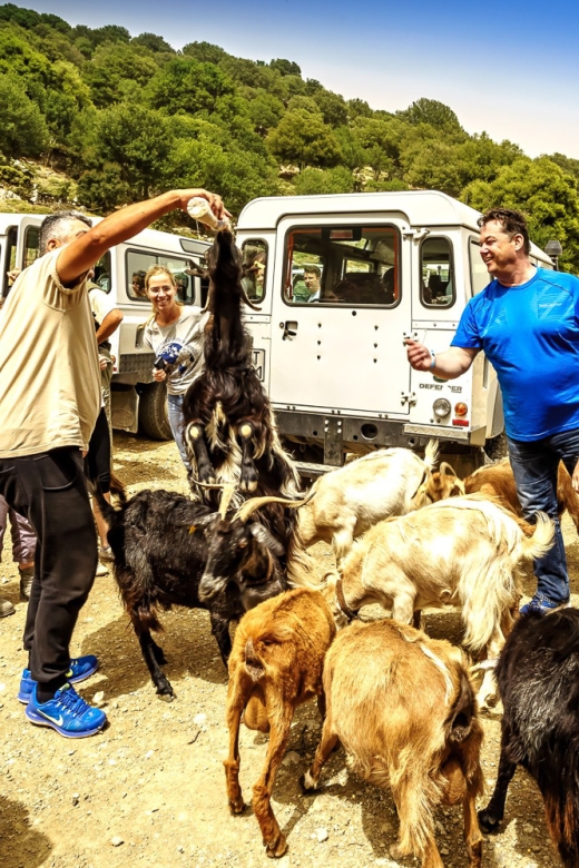 Crete: Land Rover Safari on Minoan Route