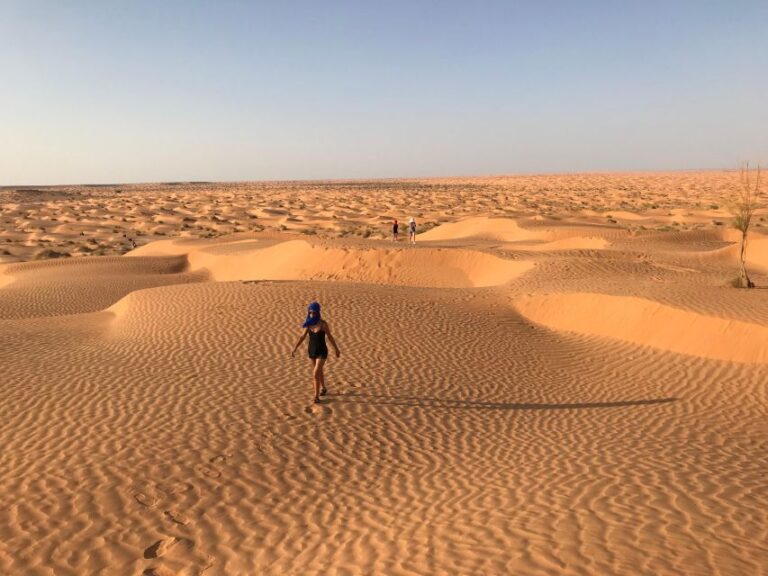 Day Trip to Desert to Ksar Ghilane From Djerba or Zarzis
