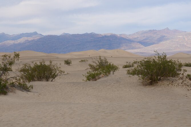 Death Valley Small Group Day Tour From Las Vegas - Tour Details