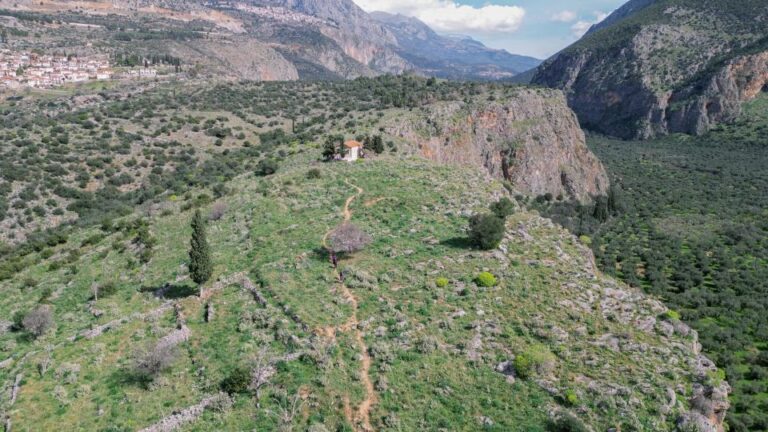 Delphi: Easy Hike on Ancient Path Through the Olive Groves